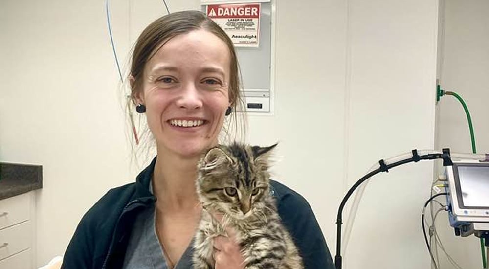 Soda Springs Animal Clinic values overview emphasizing quality pet and livestock care
