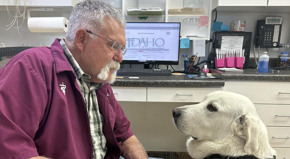 Soda Springs Animal Clinic core values display highlighting veterinary care commitment
