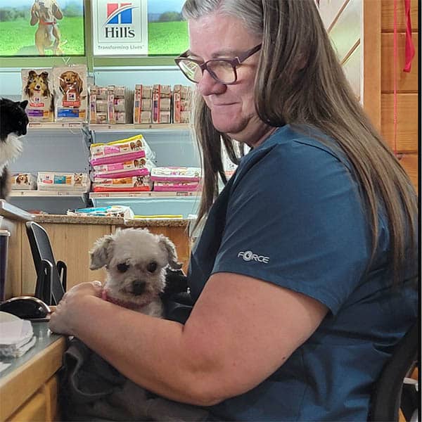 Veterinarian providing general wellness care for a pet at Soda Springs Animal Clinic
